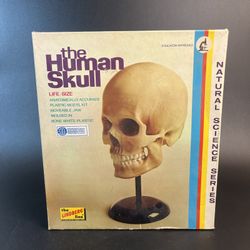Vtg 1973 Human Skull Lindberg Model Kit #1301 Life Size Bone White Plastic USA