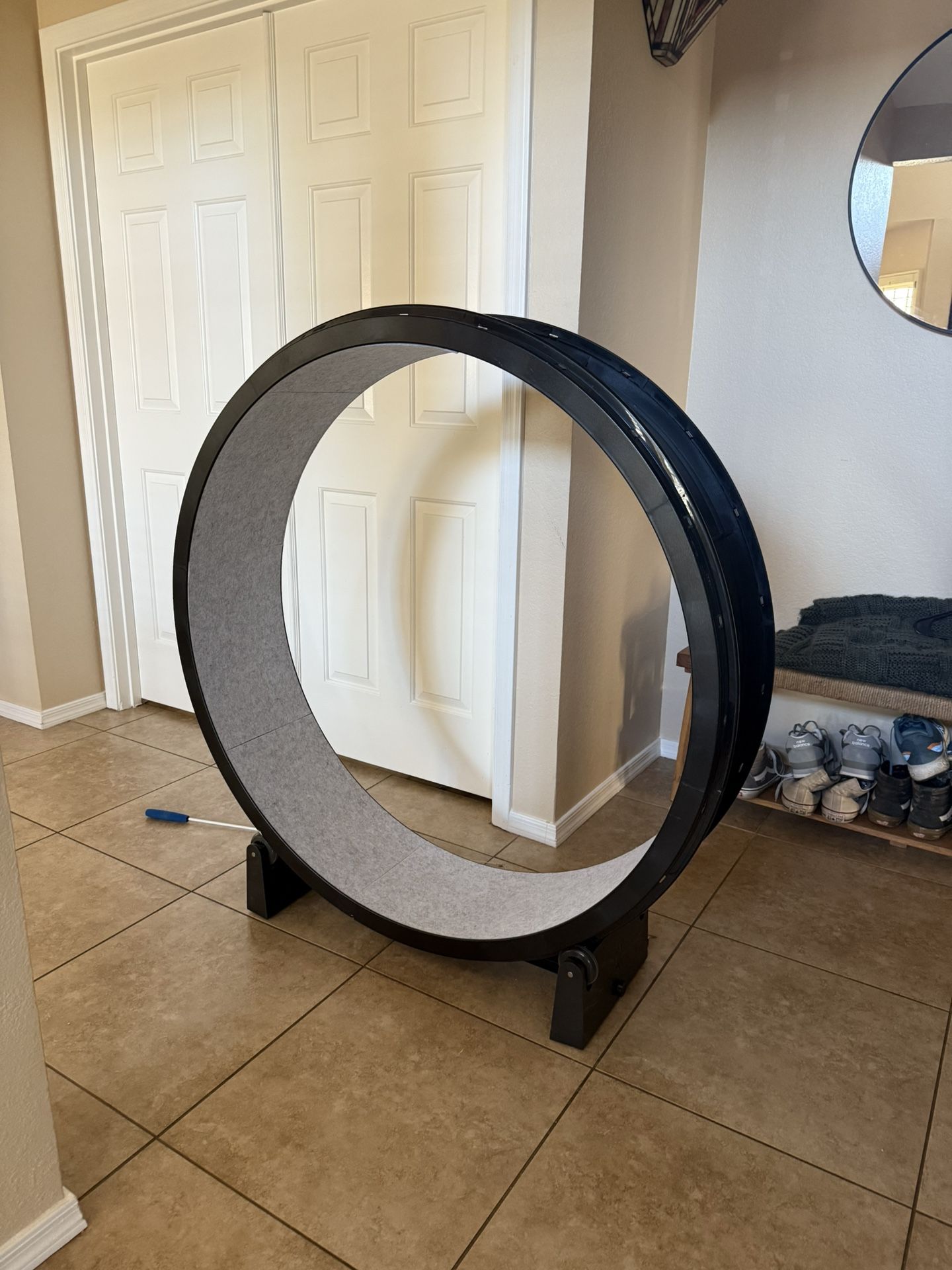 Cat Wheel