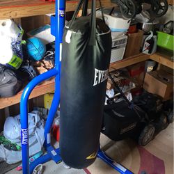 Everlast 100pnd Punching Stand With Speed Bag And Gloves 