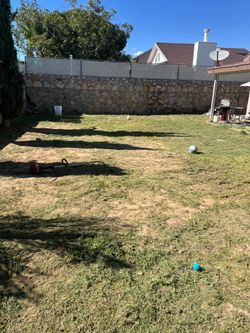 Yardsssss
