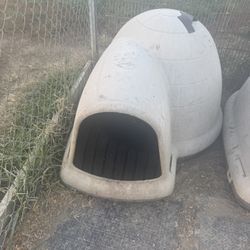 Dog Kennels And God Houses 