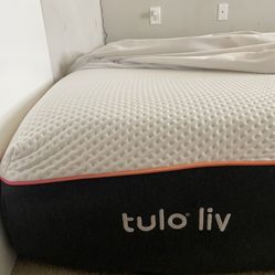 Queen Memory Foam Mattress 