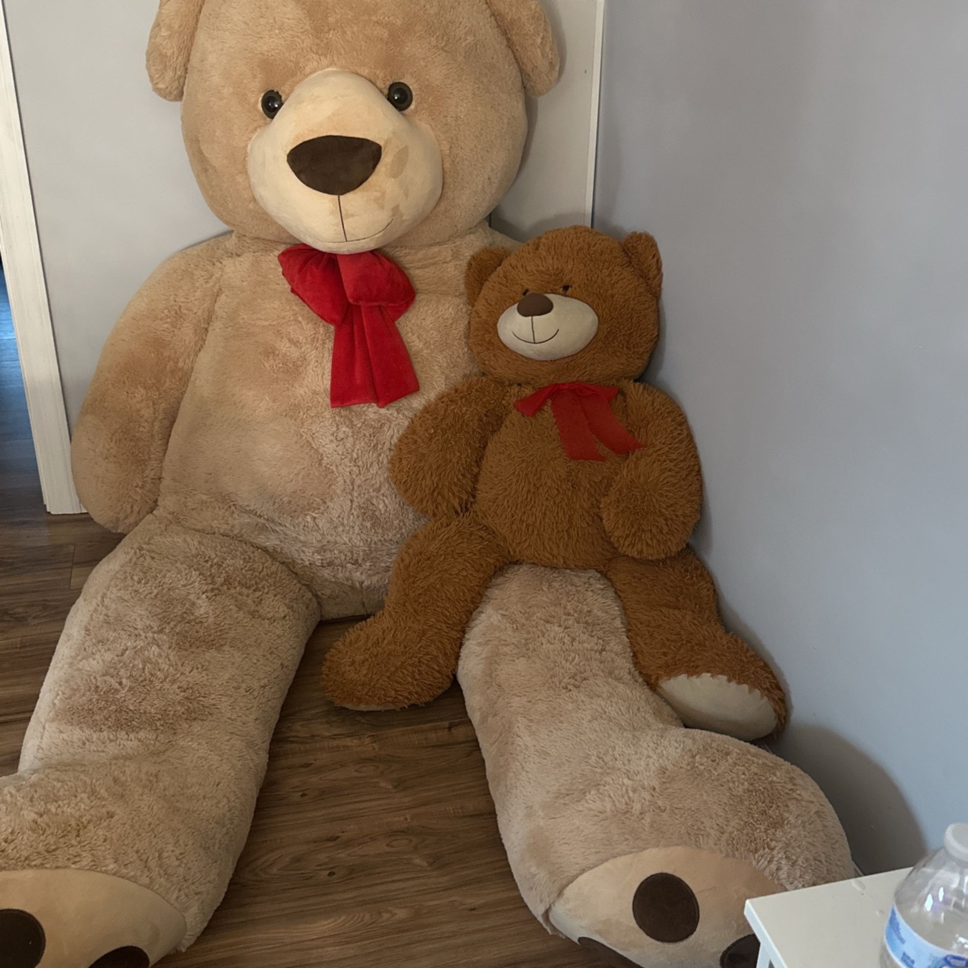 Giant teddy bear and medium size brown