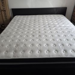 King Size Platform Bed/Mattress