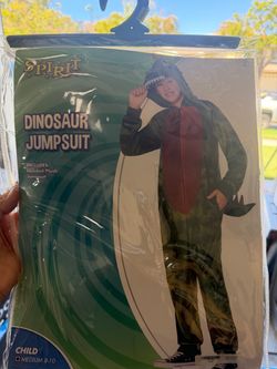 Dinosaur costume