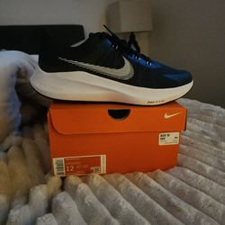BRAND NEW Nike Winflo 8 MENS SIZE 12