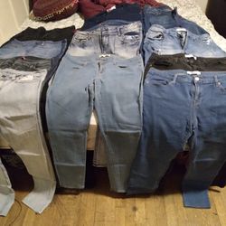 Diferent Colors New Pants
