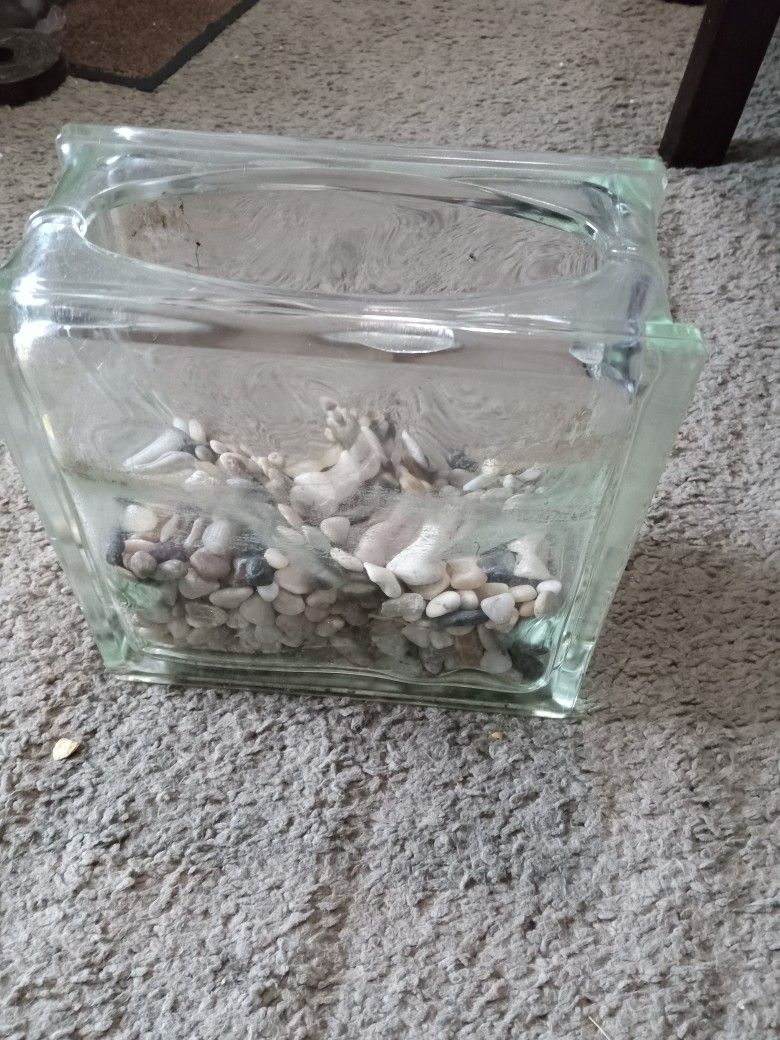Vintage Clear Glass Fish Tank