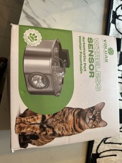 Automatic Water Fountain 