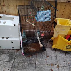 Bird Cage
