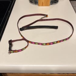 Lupine Dog Leash And Collar Set 