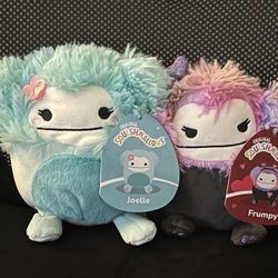 (2) 5” Squishmallows 