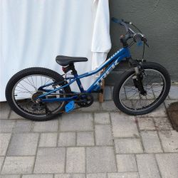 Precaliber Trek Bike 20