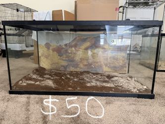 Tank/Enclosure or Terrarium 