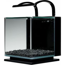3 gallon fish tank