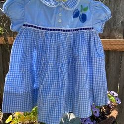 Vintage Baby Girls Dress 12-18 Month? Blue Gingham Check Blueberries