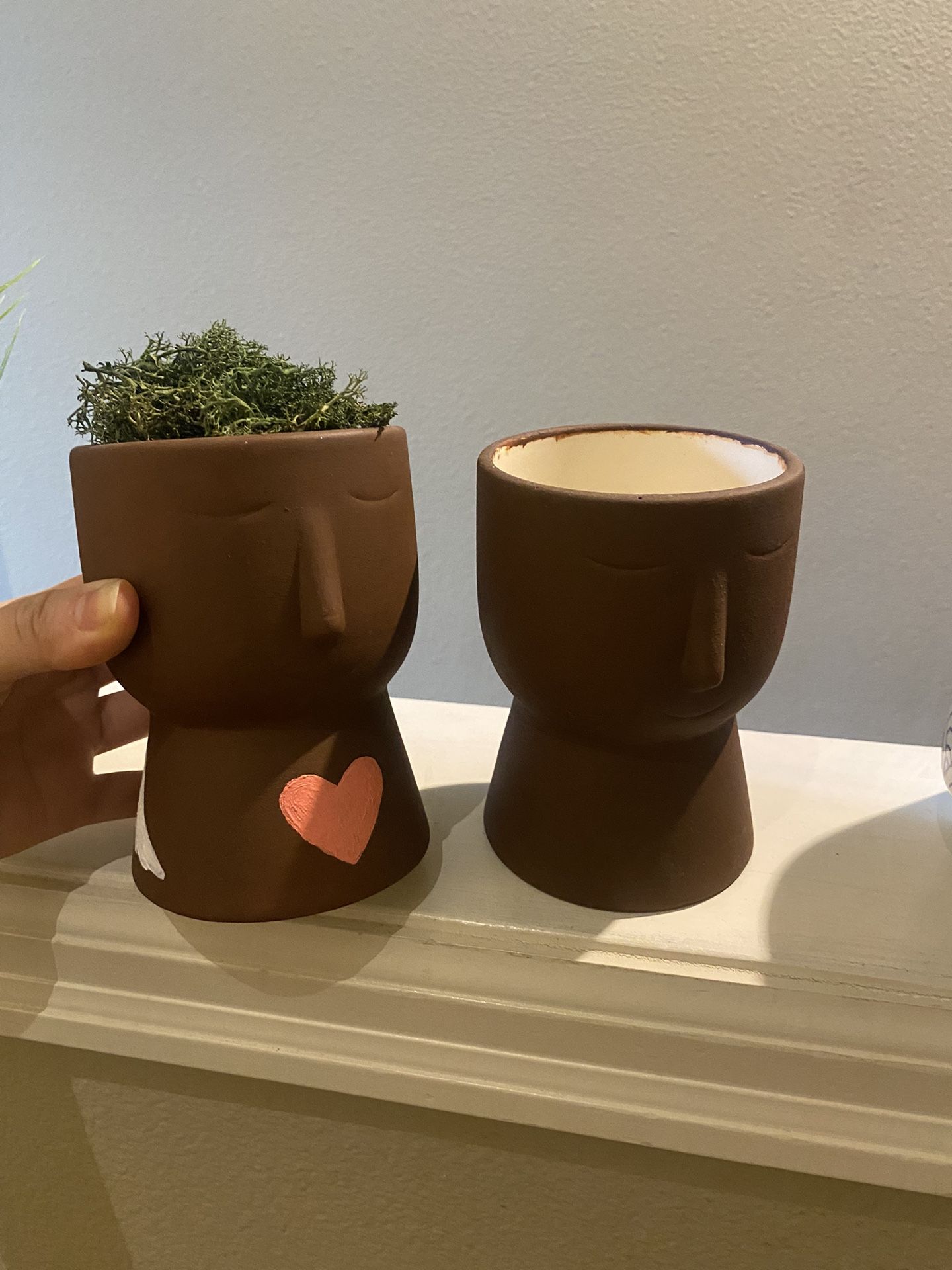 Hand Painted House Plant Pots