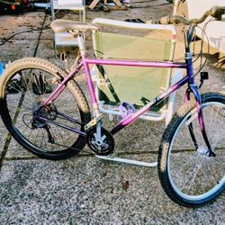 Diamondback to panga vintage mountain bike