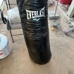 Boxing punching bag