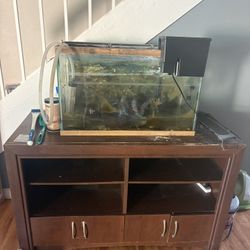Free 30 Gallon Aquarium & Stand