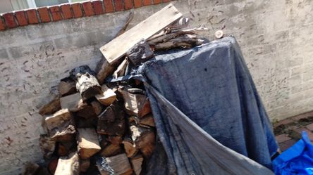$5 FIRE WOOD. GREAT FOR FIRE PIT OR CAMP FIRE.