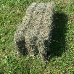 Good Grass Hay. Bailed Last Night