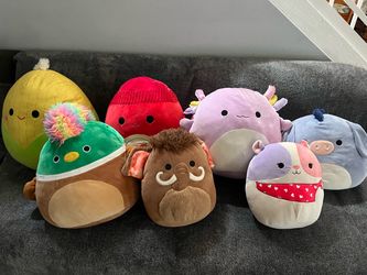 Squishmallows! Large/big - All for one low price!