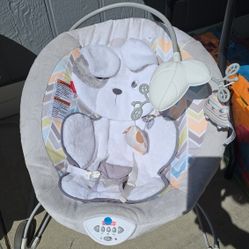 Baby Bouncer/soother