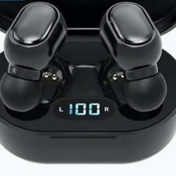 Wireless Earbuds 
