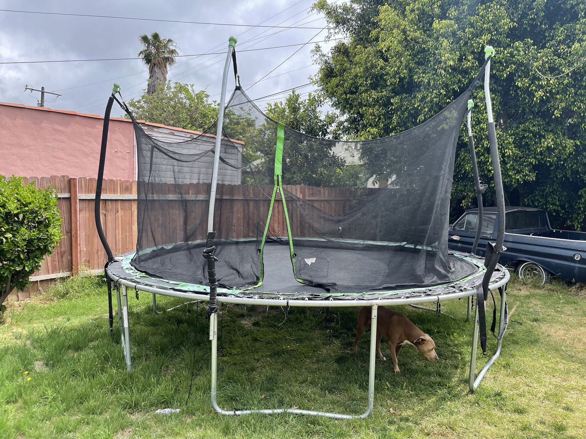 14 foot trampoline