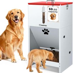 Dog feeder