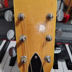 Acoustic Guitar 1970 Madeira 