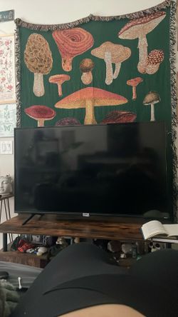 Tv Need Gone