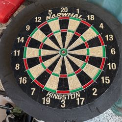Dartboard And Protective Frame 
