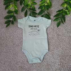 Baby Boy Sage Dinosaur Onesie (0-3 Months)