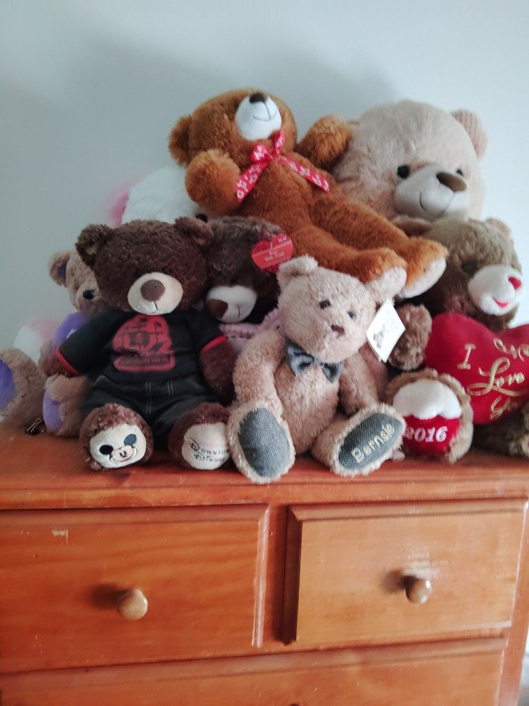 Teddy Bear Collection