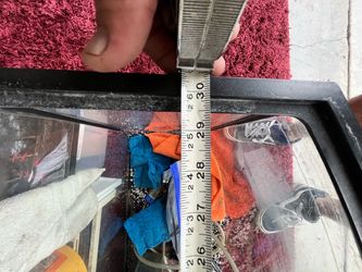 50  gallon fish tank
