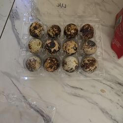 Quail Eggs