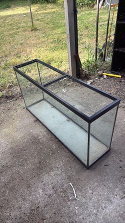75 gallon tank