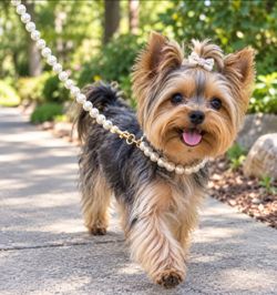 Assorted PEARL Leashes for Sm/Med Dogs