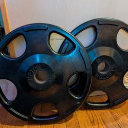 45 Lb Rubberized Metal Weight Plates