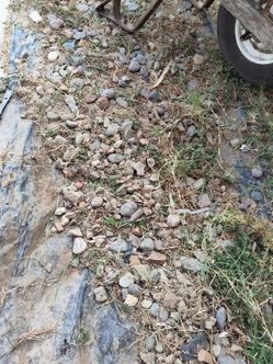 Free Rocks...