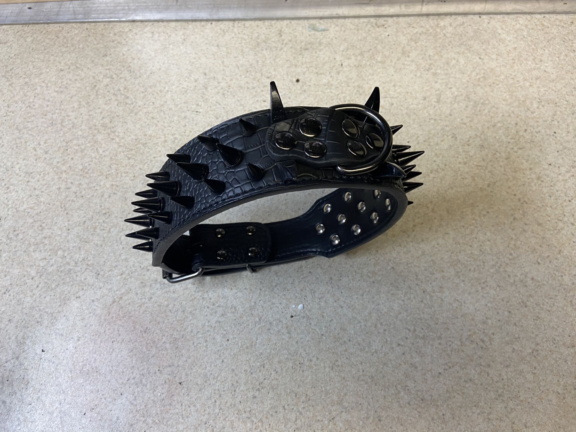 Spiked Dog Collar