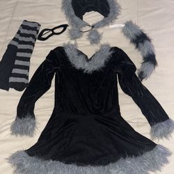 Racoon Halloween Costume 
