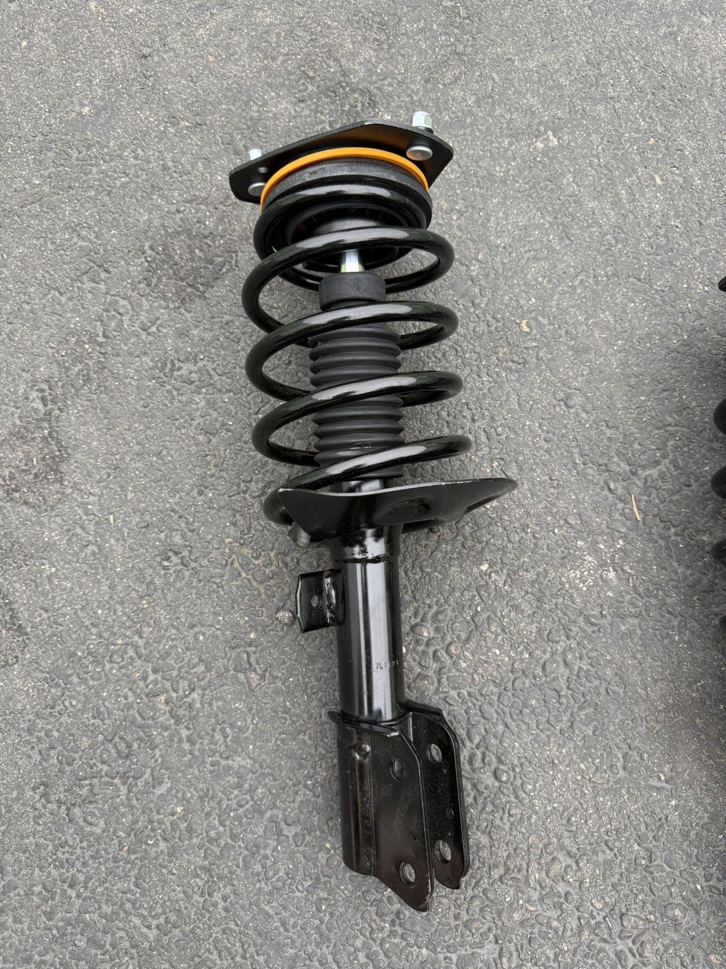 strut coil springs