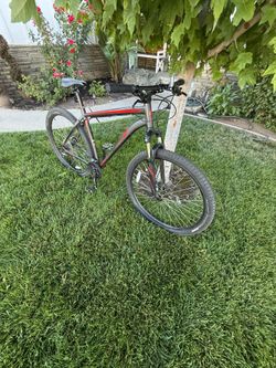 Mountain Bike Specialized 29inch wheels