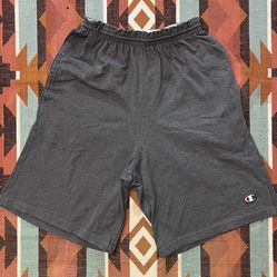 Vintage Y2K Champion 30 Gray Knit Drawstring Sport Shorts Unisex Small