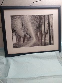 Framed Black and White Forest Path Print