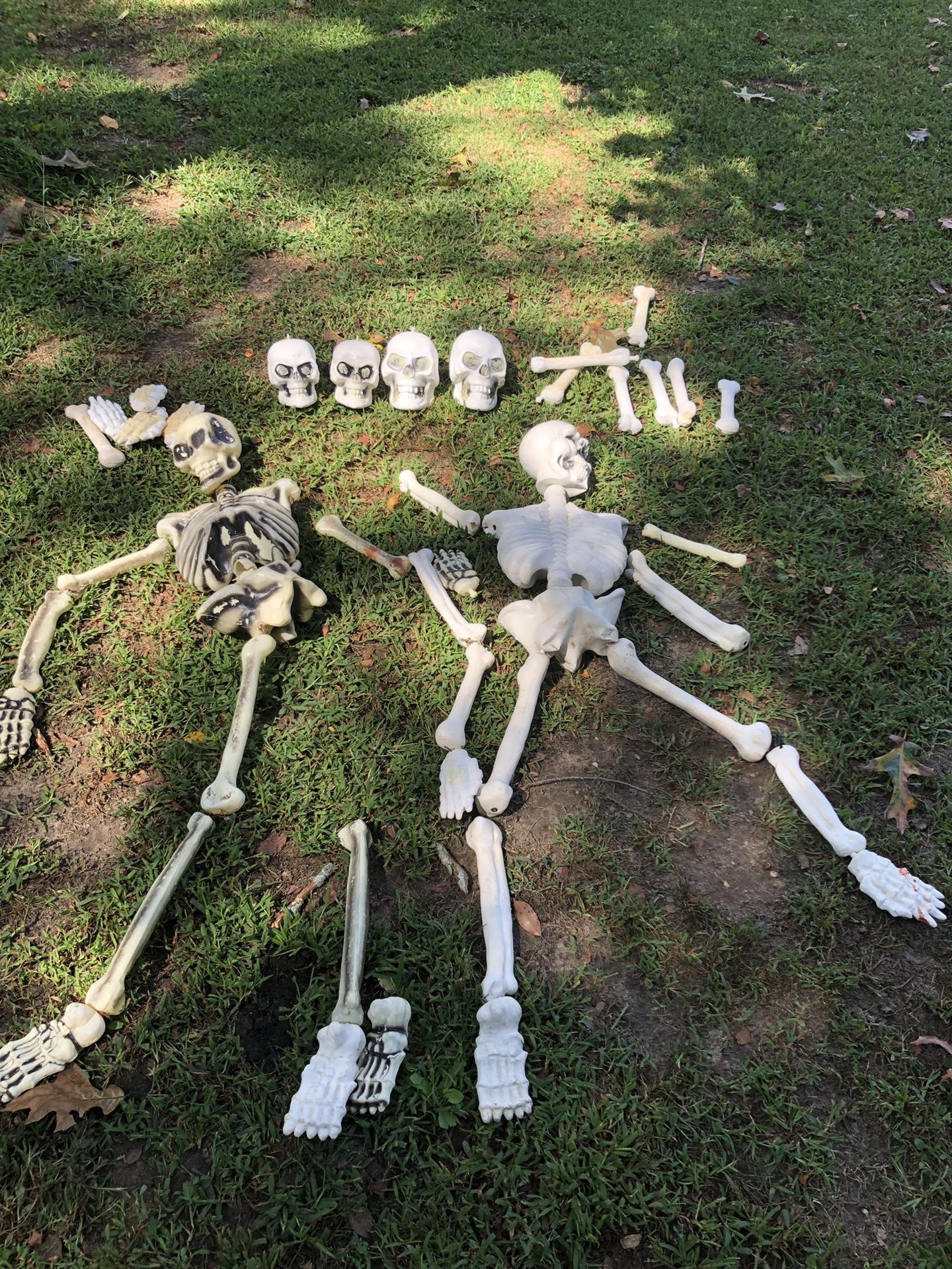 Halloween skeleton bone decorations