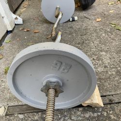 Curl Bar W/Spindle  & Two 25lb Weight Plates